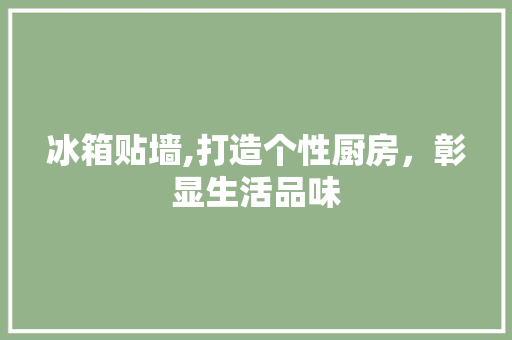 冰箱贴墙,打造个性厨房，彰显生活品味 冰箱贴墙,打造个性厨房，彰显生活品味 二手房