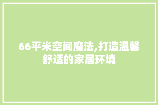 66平米空间魔法,打造温馨舒适的家居环境 66平米空间魔法,打造温馨舒适的家居环境 家居设计