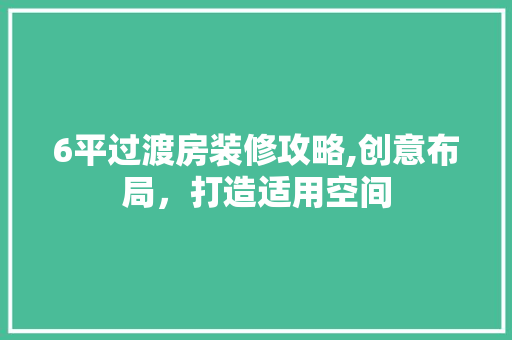 6平过渡房装修攻略,创意布局，打造适用空间 6平过渡房装修攻略,创意布局，打造适用空间 家居装饰
