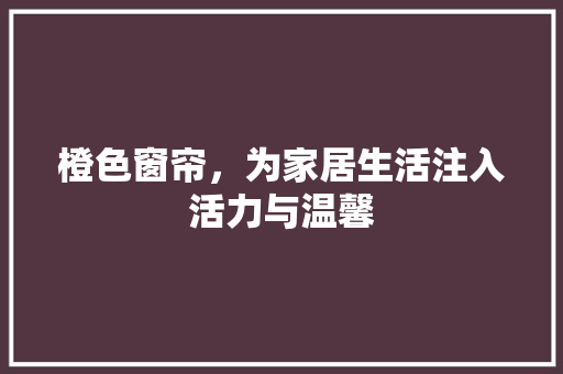 橙色窗帘，为家居生活注入活力与温馨 橙色窗帘，为家居生活注入活力与温馨 家居设计
