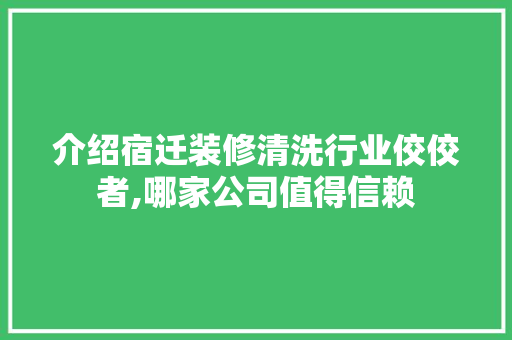 介绍宿迁装修清洗行业佼佼者,哪家公司值得信赖 介绍宿迁装修清洗行业佼佼者,哪家公司值得信赖 家居装饰