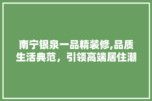 南宁银泉一品精装修,品质生活典范，引领高端居住潮流