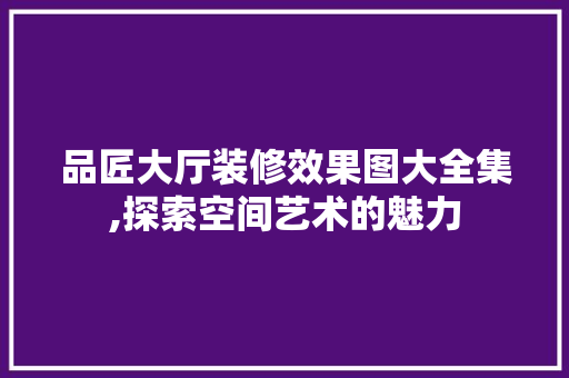 品匠大厅装修效果图大全集,探索空间艺术的魅力