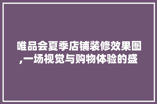 唯品会夏季店铺装修效果图,一场视觉与购物体验的盛宴