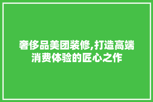 奢侈品美团装修,打造高端消费体验的匠心之作