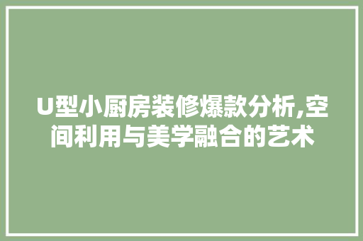 U型小厨房装修爆款分析,空间利用与美学融合的艺术