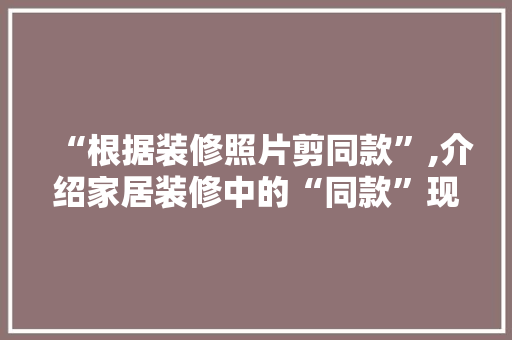 “根据装修照片剪同款”,介绍家居装修中的“同款”现象与启示
