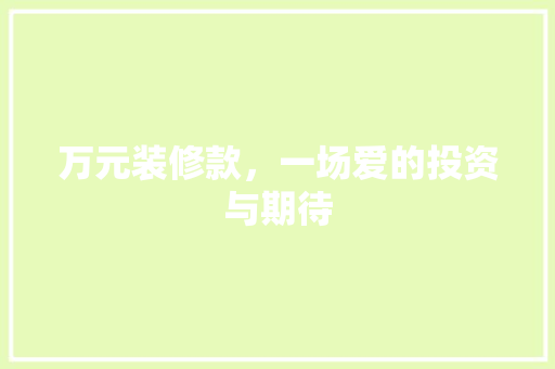 万元装修款，一场爱的投资与期待