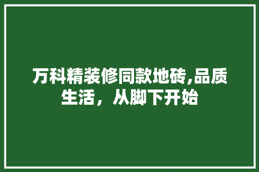 万科精装修同款地砖,品质生活，从脚下开始