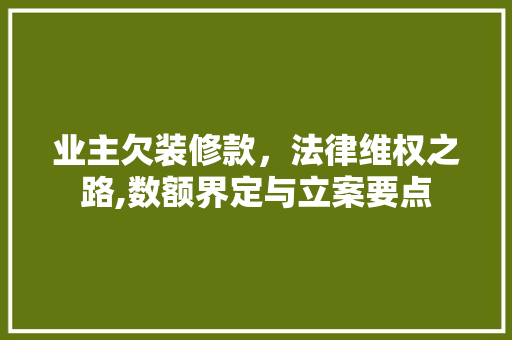 业主欠装修款，法律维权之路,数额界定与立案要点