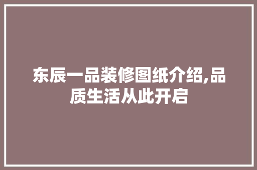 东辰一品装修图纸介绍,品质生活从此开启