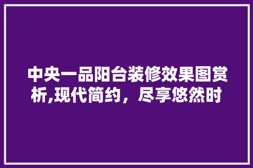 中央一品阳台装修效果图赏析,现代简约，尽享悠然时光