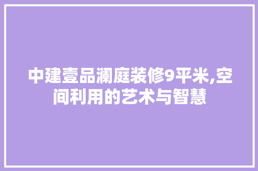中建壹品澜庭装修9平米,空间利用的艺术与智慧