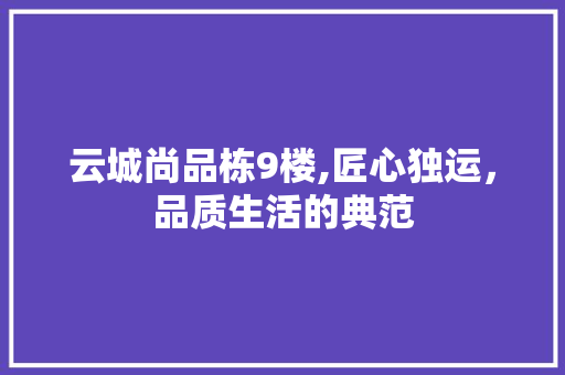 云城尚品栋9楼,匠心独运，品质生活的典范