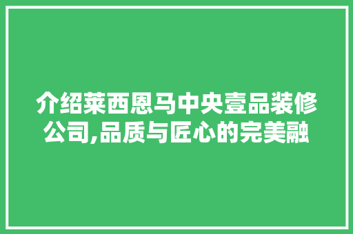 介绍莱西恩马中央壹品装修公司,品质与匠心的完美融合