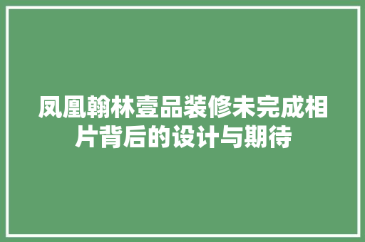 凤凰翰林壹品装修未完成相片背后的设计与期待 凤凰翰林壹品装修未完成相片背后的设计与期待 买房须知