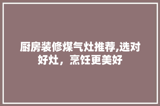 厨房装修煤气灶推荐,选对好灶，烹饪更美好 厨房装修煤气灶推荐,选对好灶，烹饪更美好 家居设计