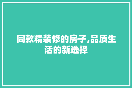 同款精装修的房子,品质生活的新选择