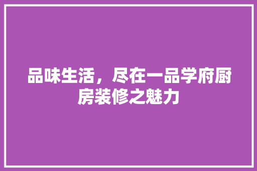 品味生活，尽在一品学府厨房装修之魅力