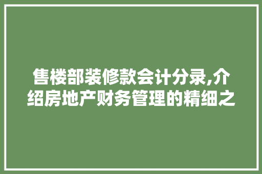 售楼部装修款会计分录,介绍房地产财务管理的精细之路
