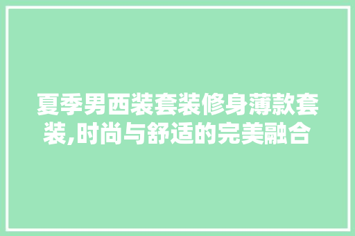 夏季男西装套装修身薄款套装,时尚与舒适的完美融合