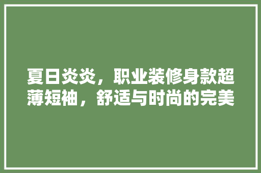 夏日炎炎，职业装修身款超薄短袖，舒适与时尚的完美结合