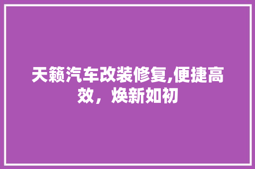 天籁汽车改装修复,便捷高效，焕新如初