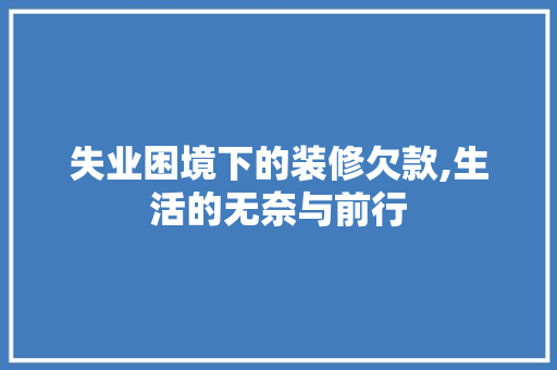 失业困境下的装修欠款,生活的无奈与前行