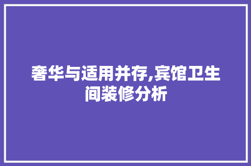 奢华与适用并存,宾馆卫生间装修分析
