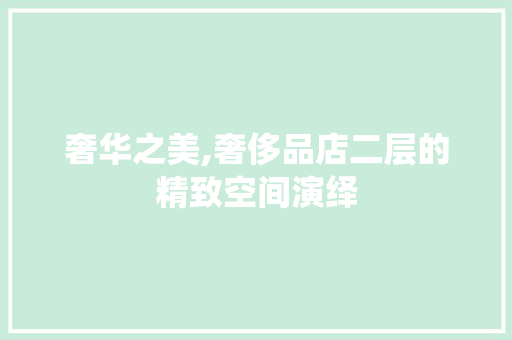 奢华之美,奢侈品店二层的精致空间演绎