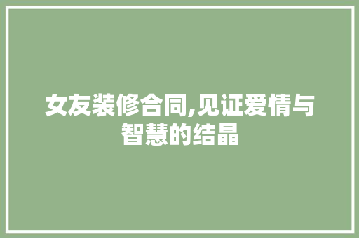 女友装修合同,见证爱情与智慧的结晶