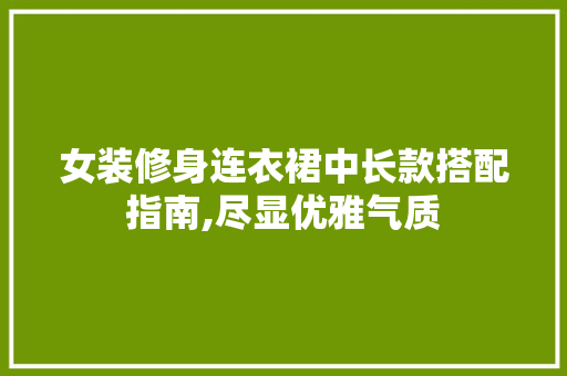 女装修身连衣裙中长款搭配指南,尽显优雅气质