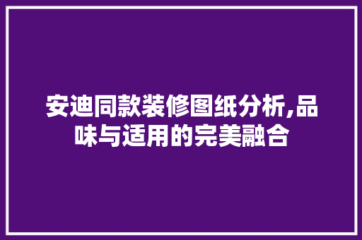 安迪同款装修图纸分析,品味与适用的完美融合