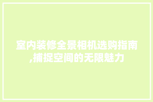 室内装修全景相机选购指南,捕捉空间的无限魅力，室内全景摄影。