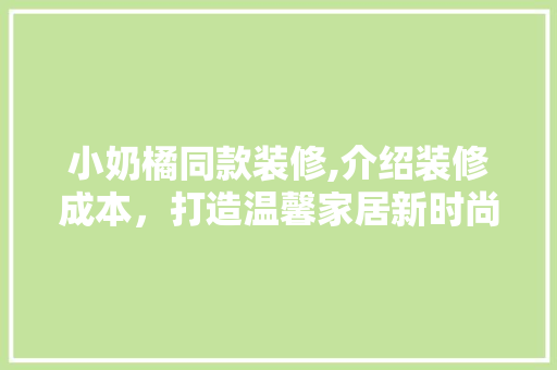小奶橘同款装修,介绍装修成本，打造温馨家居新时尚