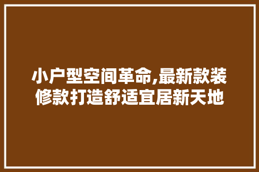 小户型空间革命,最新款装修款打造舒适宜居新天地