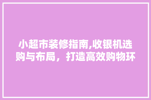 小超市装修指南,收银机选购与布局，打造高效购物环境