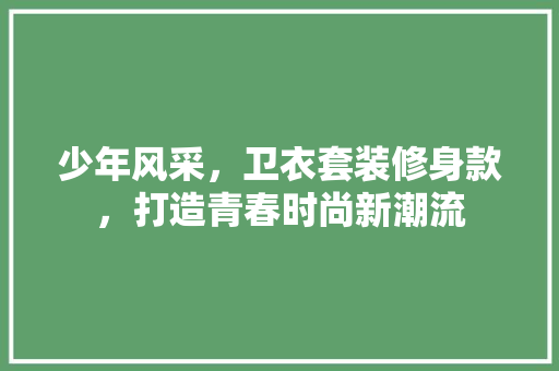 少年风采，卫衣套装修身款，打造青春时尚新潮流