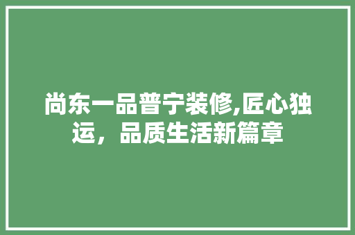 尚东一品普宁装修,匠心独运，品质生活新篇章