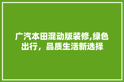 广汽本田混动版装修,绿色出行，品质生活新选择