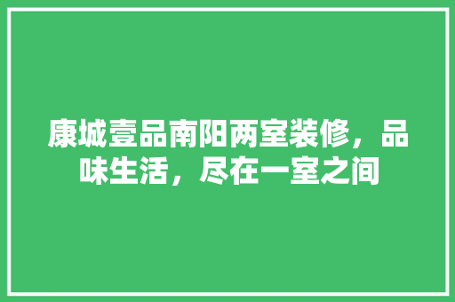 康城壹品南阳两室装修，品味生活，尽在一室之间