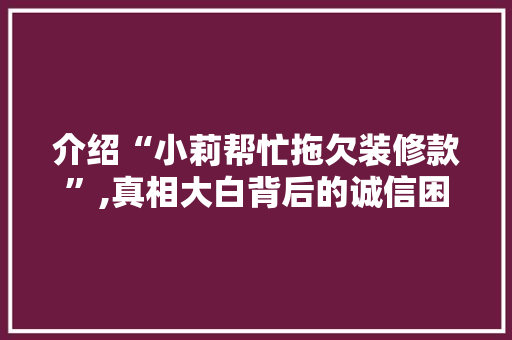 介绍“小莉帮忙拖欠装修款”,真相大白背后的诚信困境