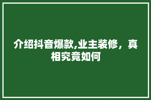 介绍抖音爆款,业主装修，真相究竟如何