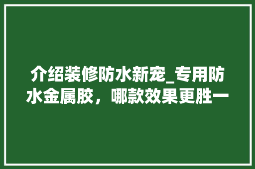 介绍装修防水新宠_专用防水金属胶，哪款效果更胜一筹