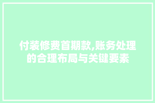 付装修费首期款,账务处理的合理布局与关键要素