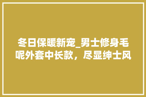 冬日保暖新宠_男士修身毛呢外套中长款，尽显绅士风采