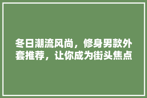 冬日潮流风尚，修身男款外套推荐，让你成为街头焦点！