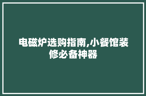 电磁炉选购指南,小餐馆装修必备神器 电磁炉选购指南,小餐馆装修必备神器 家居装饰