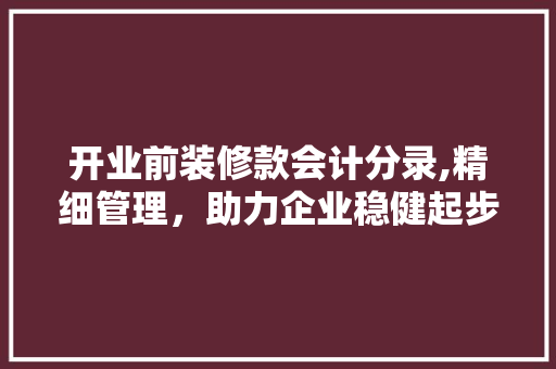 开业前装修款会计分录,精细管理，助力企业稳健起步