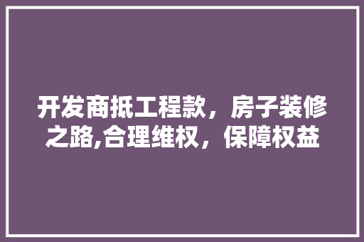 开发商抵工程款，房子装修之路,合理维权，保障权益